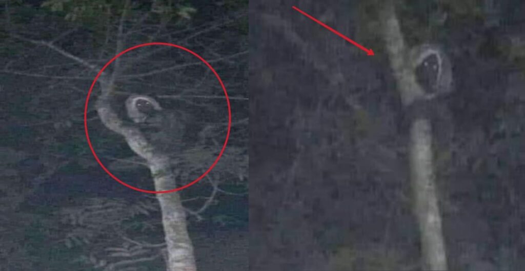 captan-bruja-en-teotihuacan