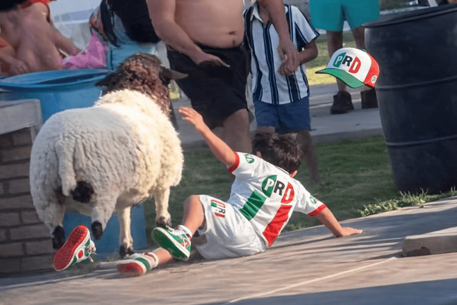 Niño cae al suelo tras embestida de un borrego en evento en Teotihuacán.